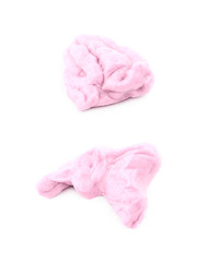 Chewing gum isolated