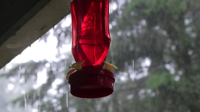 red hummingbird feeder out in rain