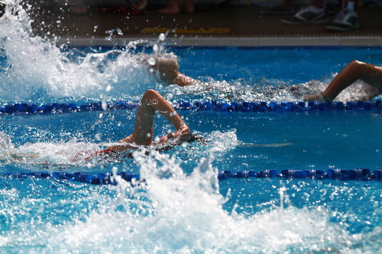 A group of swimmer swimming freestyle, front crawl or australian crawl stroke in a swimming pool for competition or race