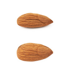 Single almond isolated