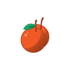 Oranges Vector Illustration