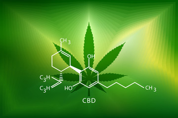 cannabis marijuana in the defocus with the image of the formula CBD.