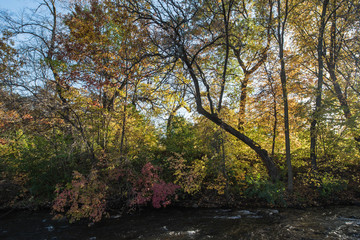 Minnehaha Creek In fall