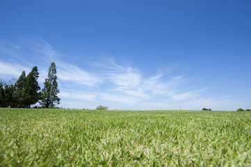 Blue sky in farmland