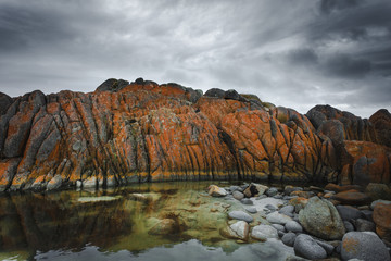 Fototapeta na wymiar Bay of Fires Beautiful Landscape of Tasmania, Australia