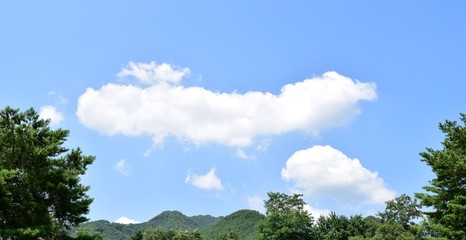 Sky