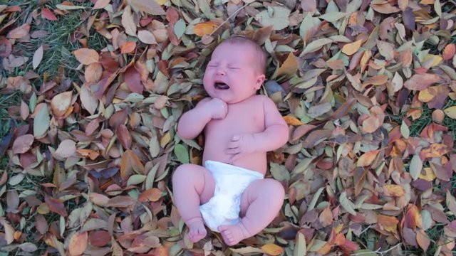  A infant is crying when left alone, almost naked in the fall leaves. Cute and sad video,  great sound effects of a baby crying.