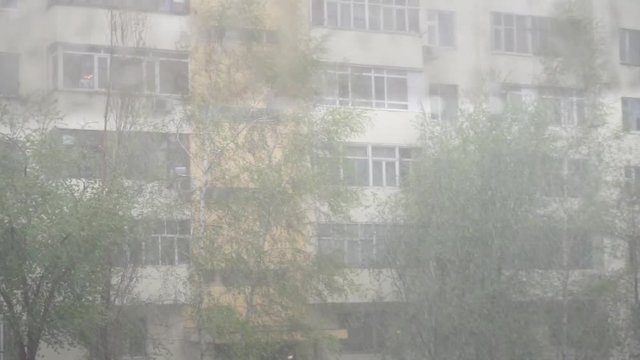 Rainy Day in spirng outside the window
