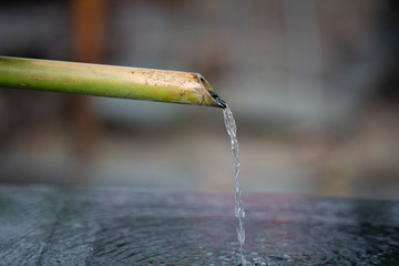 Naklejka na ściany i meble The water rinse from bamboo pipe of temple.