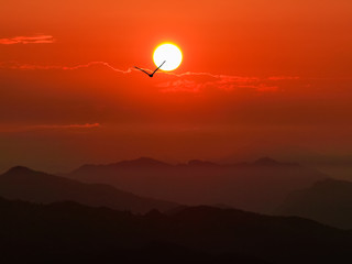 Rising sun above the mountain ranges and flying bird