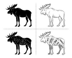 Cut of elk set. Poster Butcher diagram - desert-ship. Vintage typographic hand-drawn. Vector illustration