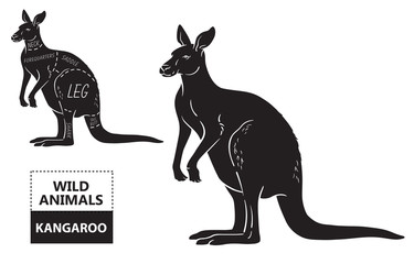 Cut of kangaroo set. Poster Butcher diagram - desert-ship. Vintage typographic hand-drawn. Vector illustration