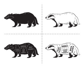 Cut of badger set. Poster Butcher diagram - desert-ship. Vintage typographic hand-drawn. Vector illustration