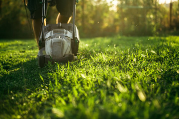 Lawn mower cutting green grass in backyard.Gardening background