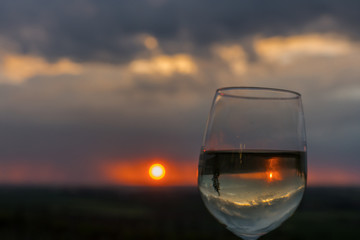 Regen am Abend im Weinberg