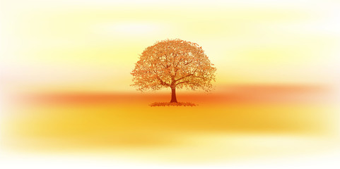 紅葉　木　秋　背景 