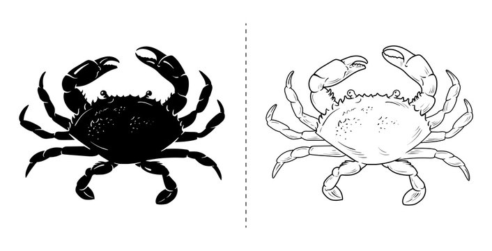 Crab silhouette sea animal. Vector illustration on white background