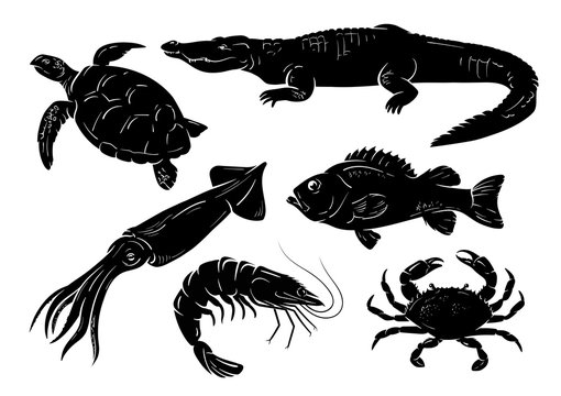 Sea animals set on white background. Vector illustration