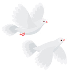 Illustration of two doves flying isolated on white background