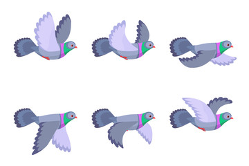 Cartoon flying pigeon animation sprite isolated