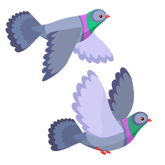 Illustration of two pigeons flying isolated on white background