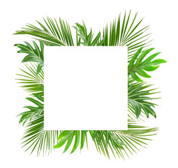 Green palm branches and monstera leaves with card for text