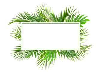 Green palm branches and monstera leaves with card for text