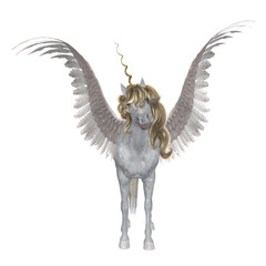 White Unicorn illustration © AnnaPa