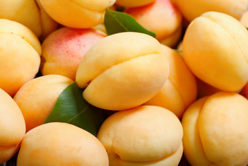 Fototapeta na wymiar fresh apricots as background