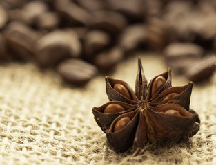 Coffee beans. Badian. Coffee house.