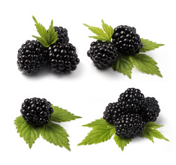 Set of four compositions of fresh blackberries with a green leaf laying isolated on white background
