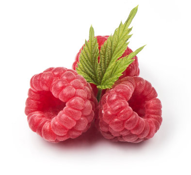 Group of fresh red raspberries with green leaves isolated on white background