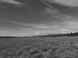 The fields in black and white