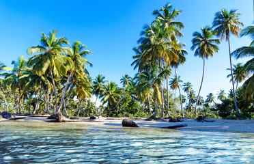 Ferien, Tourismus, Sommer, Sonne, Strand, Auszeit, Meer, Glück, Entspannung, Meditation, Palmen, Mangroven: Traumurlaub an einem einsamen, karibischen Strand :)
