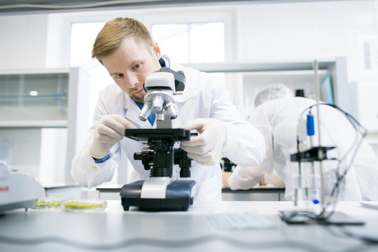Portrait of young scientist using microscope while doing research in medical laboratory, copy space