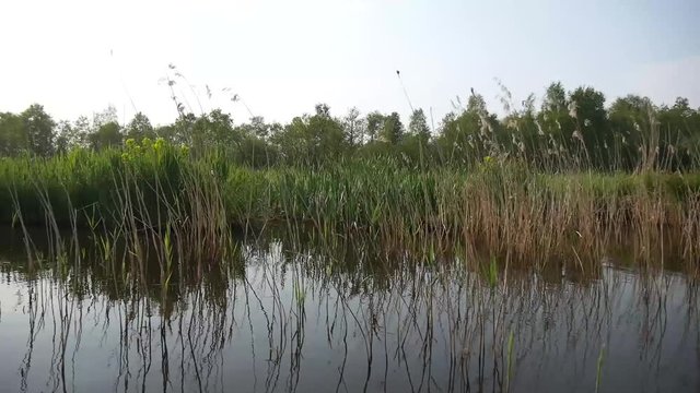 Navigazione in Olanda con la barca nei canali
