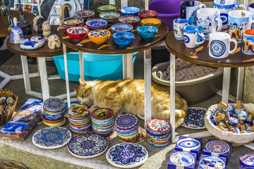 Sleeping cat among street Souvenirs