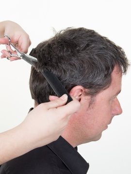 Hairdresser holding comb and scissors in handsome man with black hair having haircut over white background