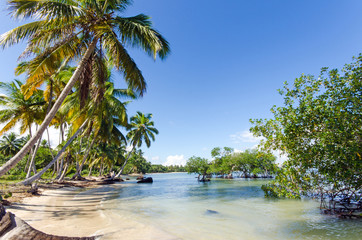 Plakat Ferien, Tourismus, Sommer, Sonne, Strand, Auszeit, Meer, Glück, Entspannung, Meditation, Palmen, Mangroven: Traumurlaub an einem einsamen, karibischen Strand :)