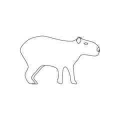 Capybara animal illustration