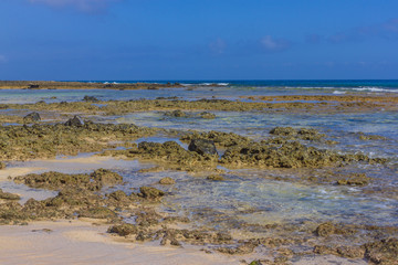 Beach stone. Atlantic ocean. Lava calderas Coastal line