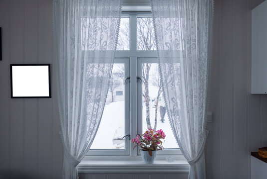 Pink flower on window sill with curtain and picture frame on winter season