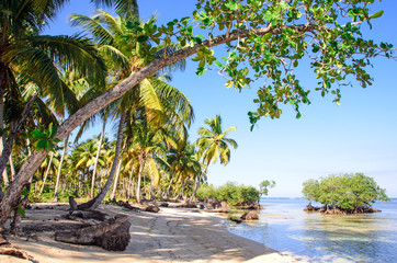 Welcome to the Caribbean paradise: rest, relaxation, dreaming and enjoying a lonely beautiful beach :)