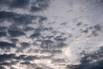 Fototapeta premium Cluster fluff cloudy on blue sky at sunset