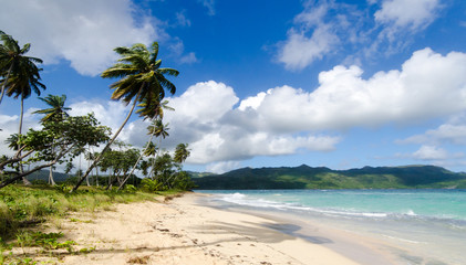 Welcome to the Caribbean paradise: rest, relaxation, dreaming and enjoying a lonely beautiful beach :)