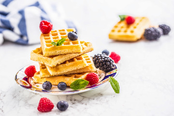 Fresh waffles with berries sugar powder ant mint leaves.