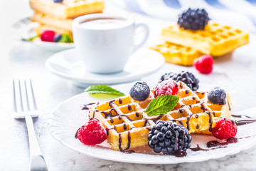 Fresh waffles with chocolate syrup berries sugar powder ant mint leaves.