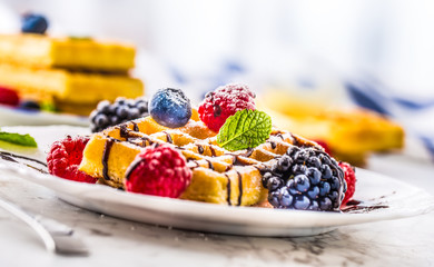 Fresh waffles with chocolate syrup berries sugar powder ant mint leaves.