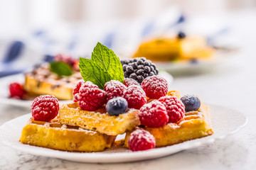 Fresh waffles with berries sugar powder ant mint leaves.