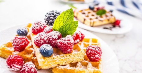 Fresh waffles with berries sugar powder ant mint leaves.